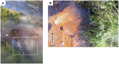 Investigating the Composition and Metabolic Potential of Microbial Communities in Chocolate Pots Hot Springs